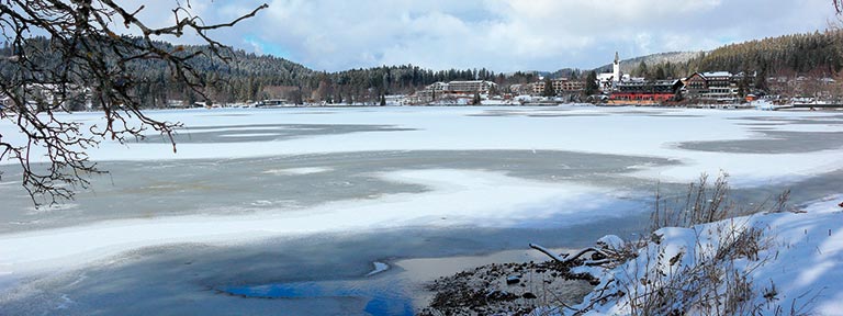 Lake Titisee in the Black Forest